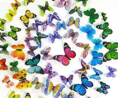 Decoracion de casas, mariposas de colores